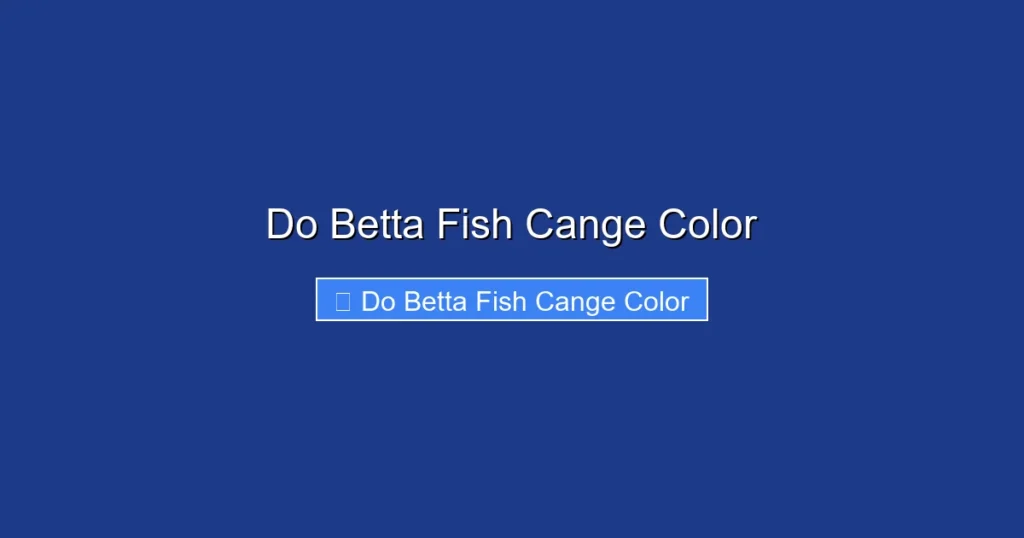 Do Betta Fish Cange Color