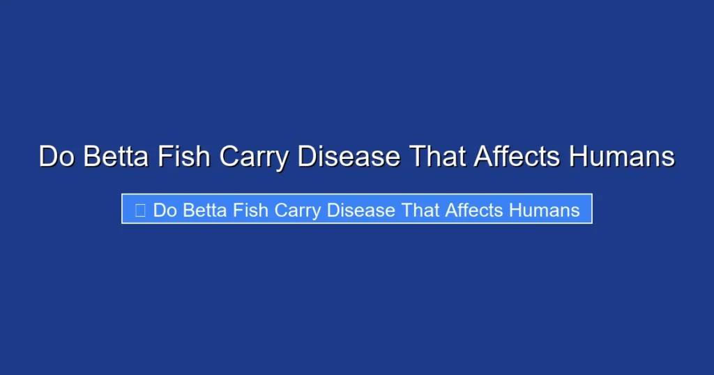 Do Betta Fish Carry Disease That Affects Humans