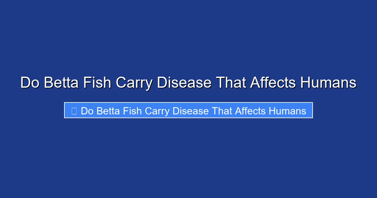 Do Betta Fish Carry Disease That Affects Humans