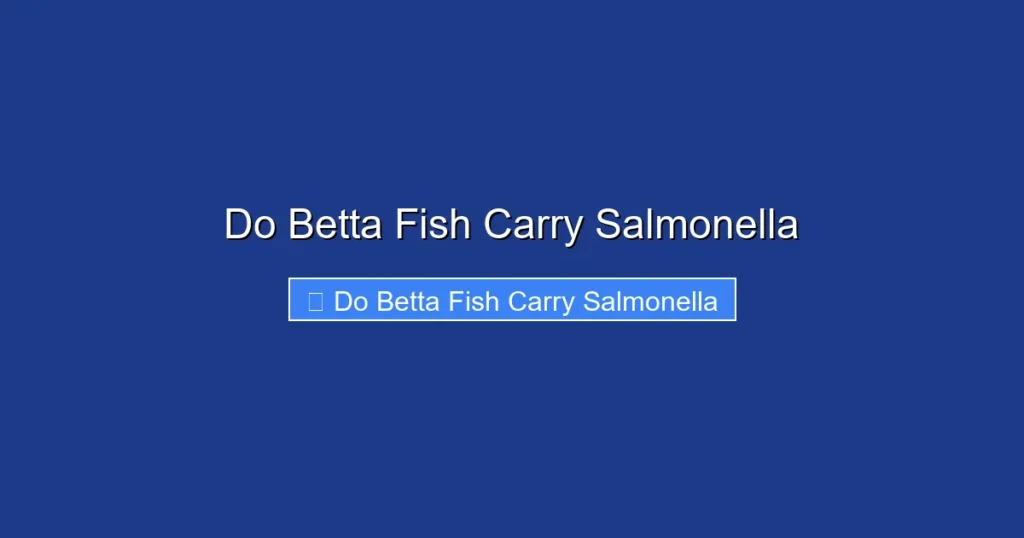 Do Betta Fish Carry Salmonella