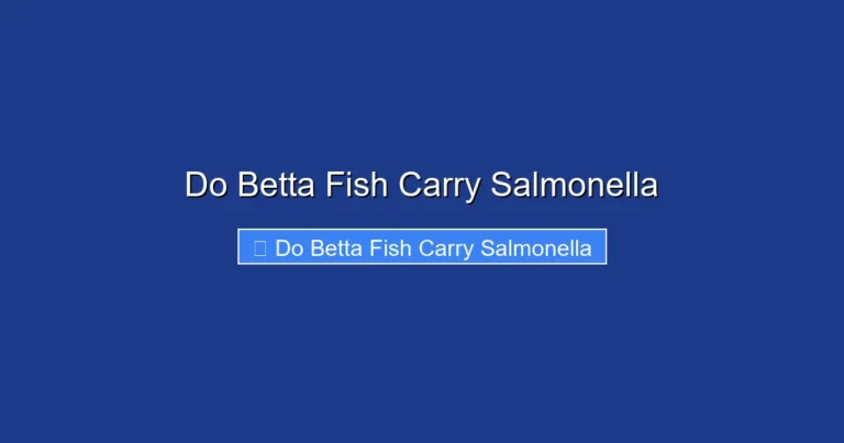 Do Betta Fish Carry Salmonella