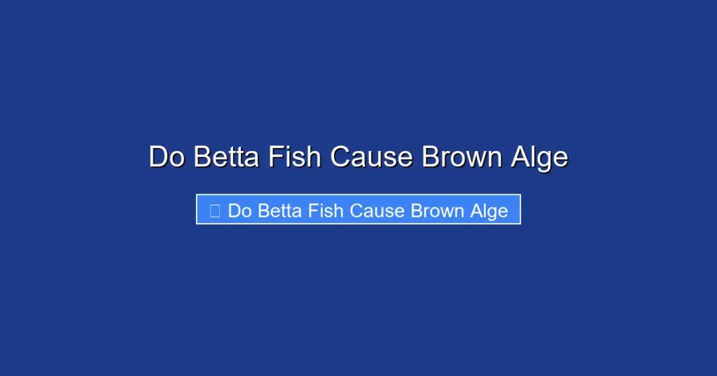 Do Betta Fish Cause Brown Alge