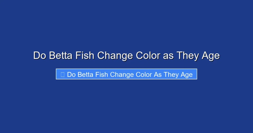 Do Betta Fish Change Color as They Age