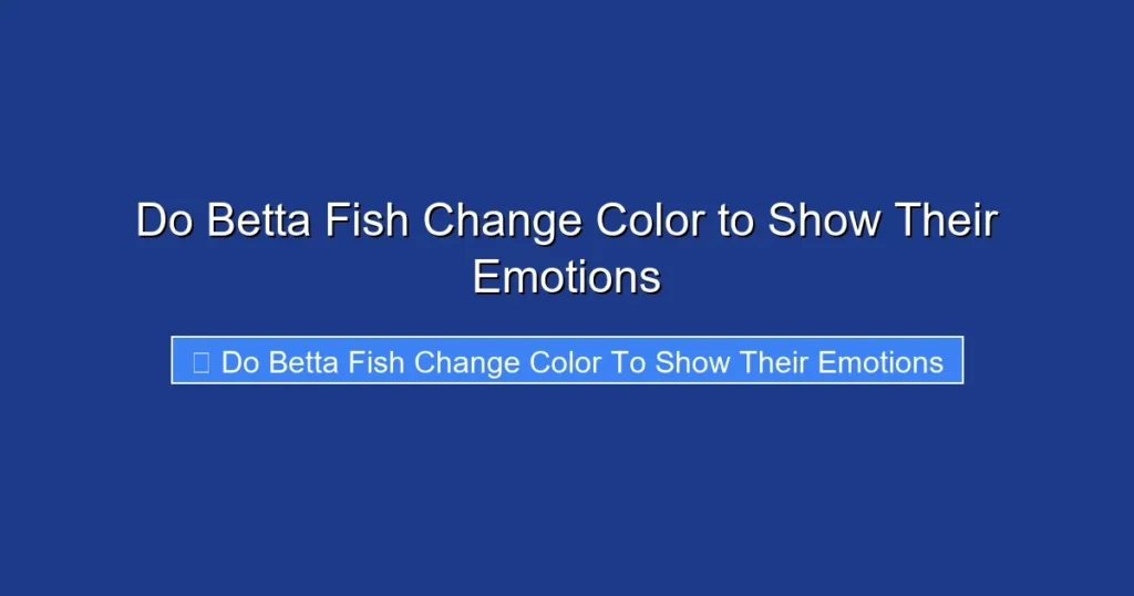 Do Betta Fish Change Color to Show Their Emotions