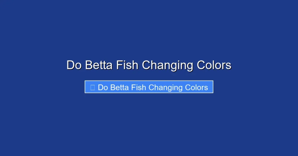 Do Betta Fish Changing Colors