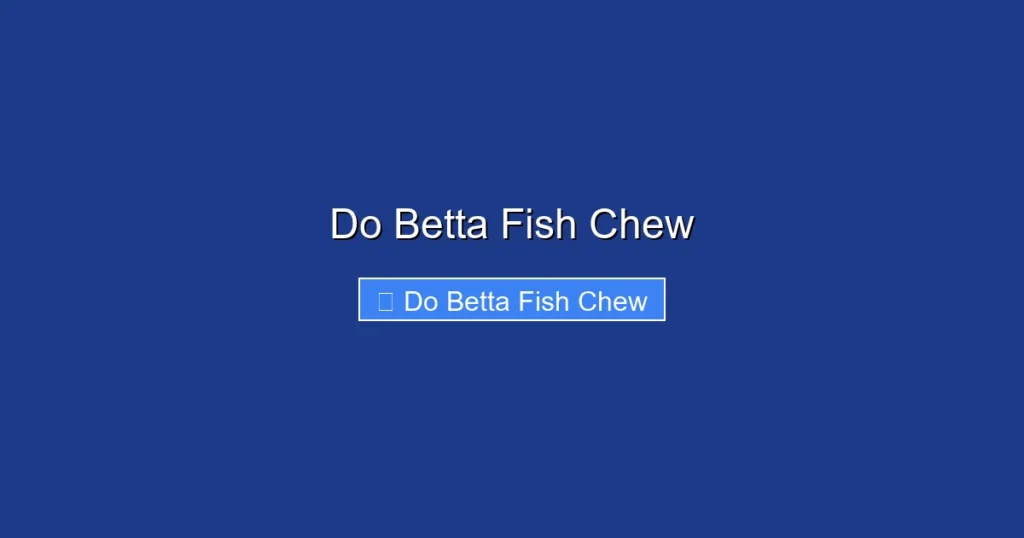 Do Betta Fish Chew