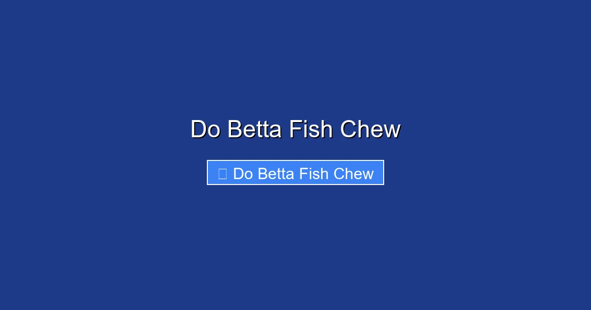 Do Betta Fish Chew
