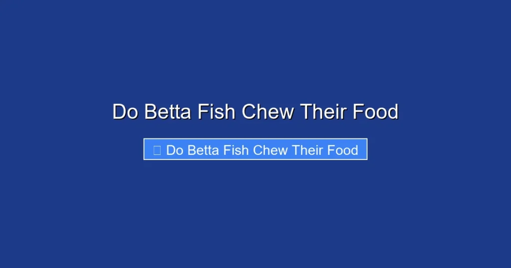Do Betta Fish Chew Their Food