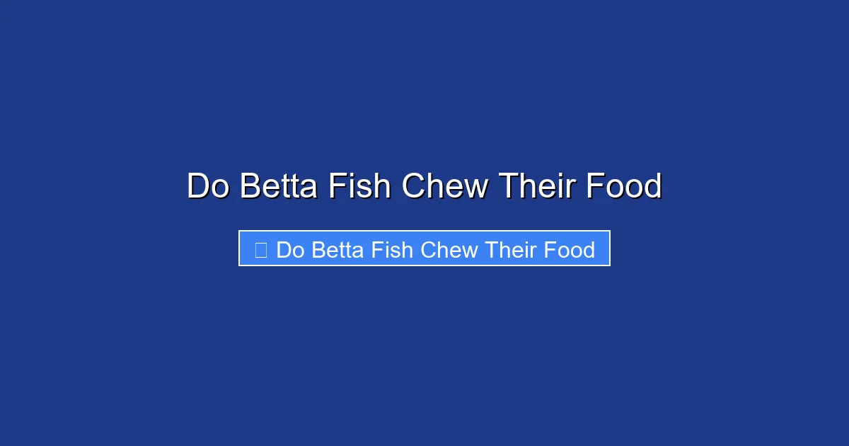 Do Betta Fish Chew Their Food