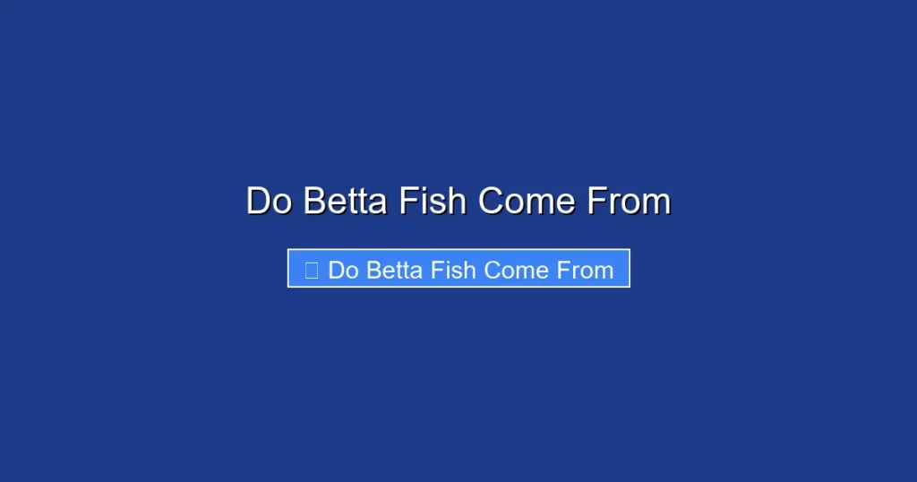 Do Betta Fish Come From