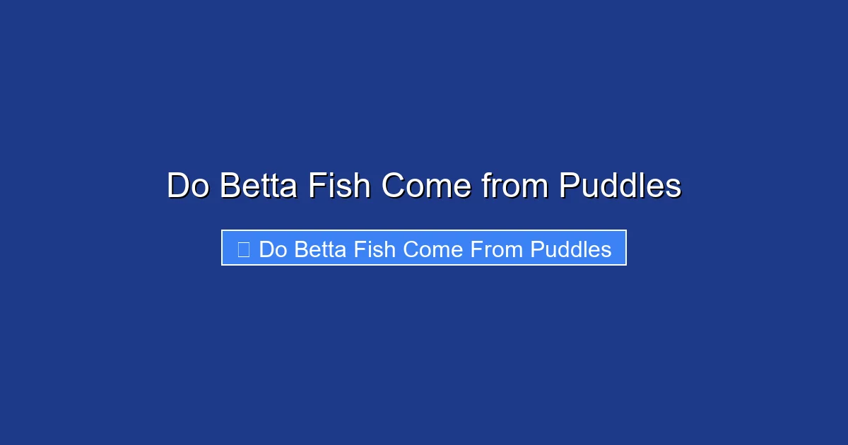 Do Betta Fish Come from Puddles