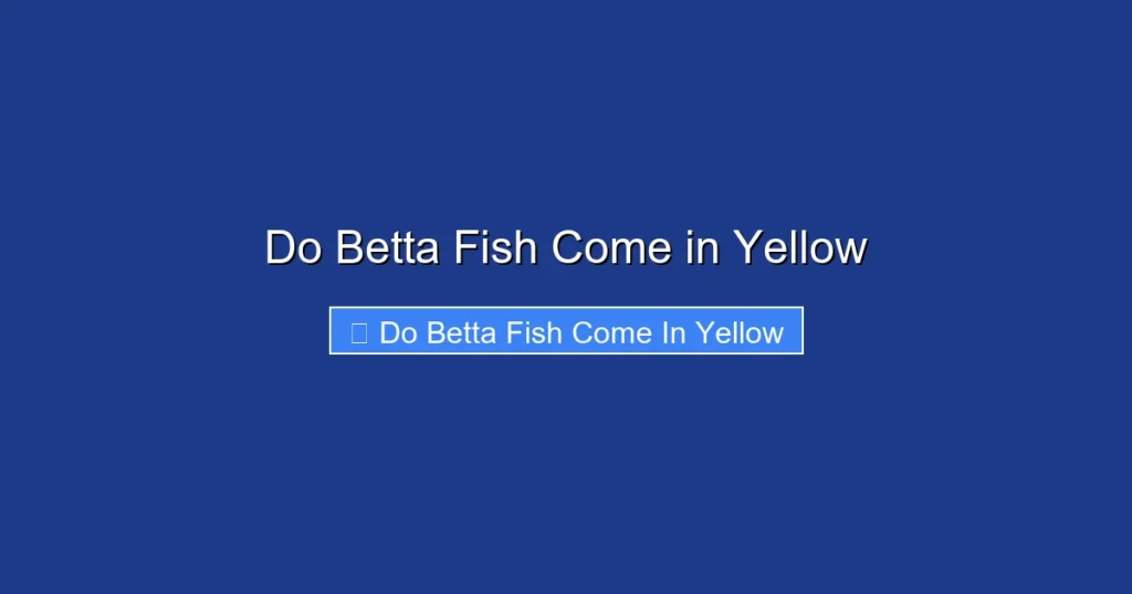 Do Betta Fish Come in Yellow