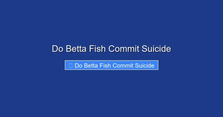 Do Betta Fish Commit Suicide