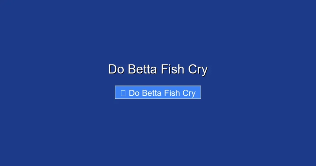 Do Betta Fish Cry