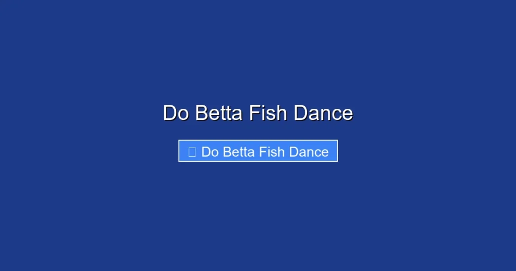 Do Betta Fish Dance