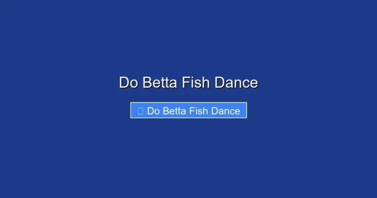 Do Betta Fish Dance