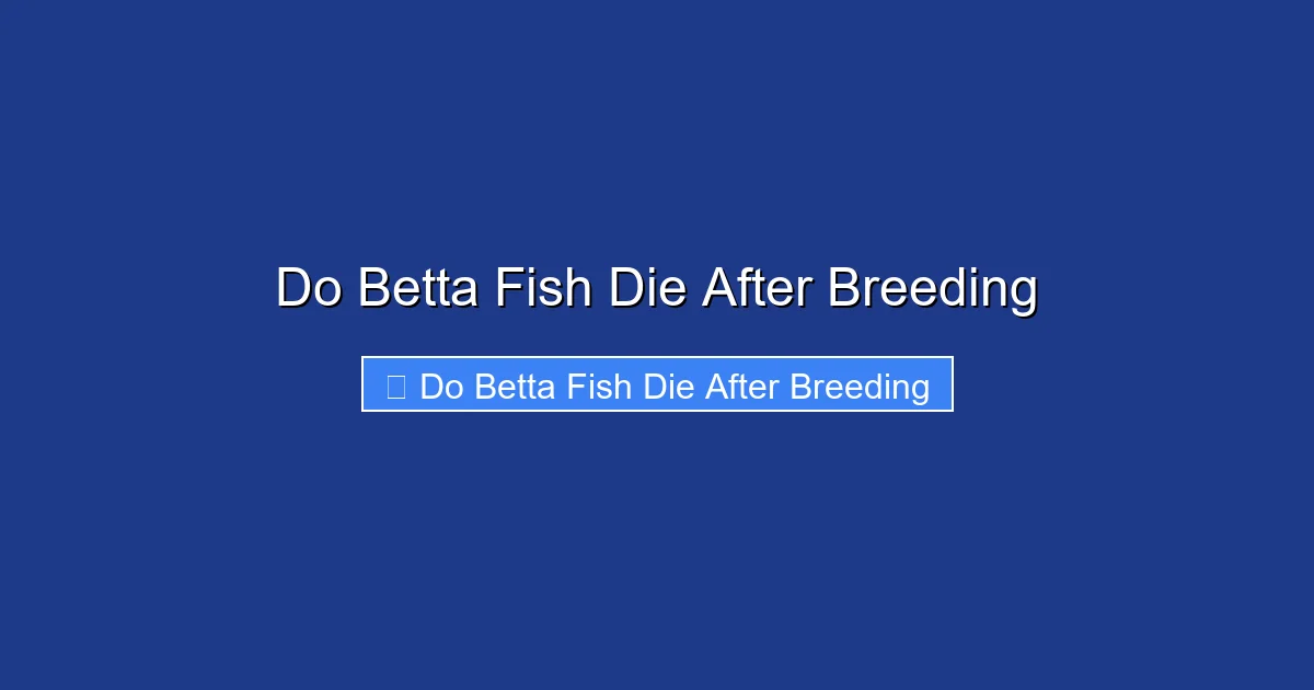 Do Betta Fish Die After Breeding