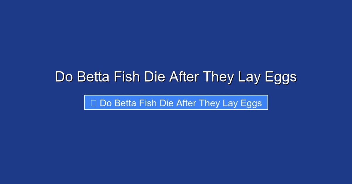 Do Betta Fish Die After They Lay Eggs