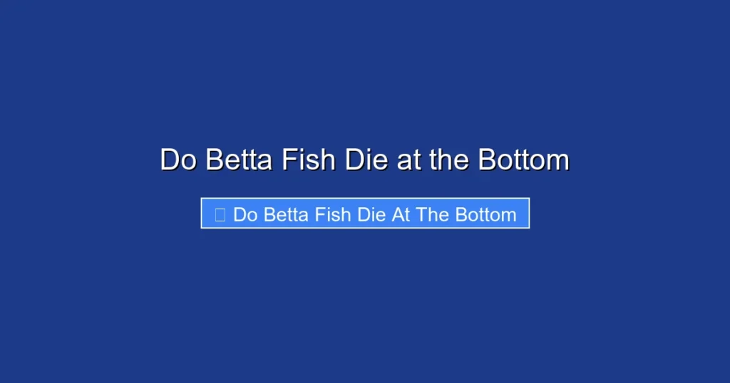 Do Betta Fish Die at the Bottom