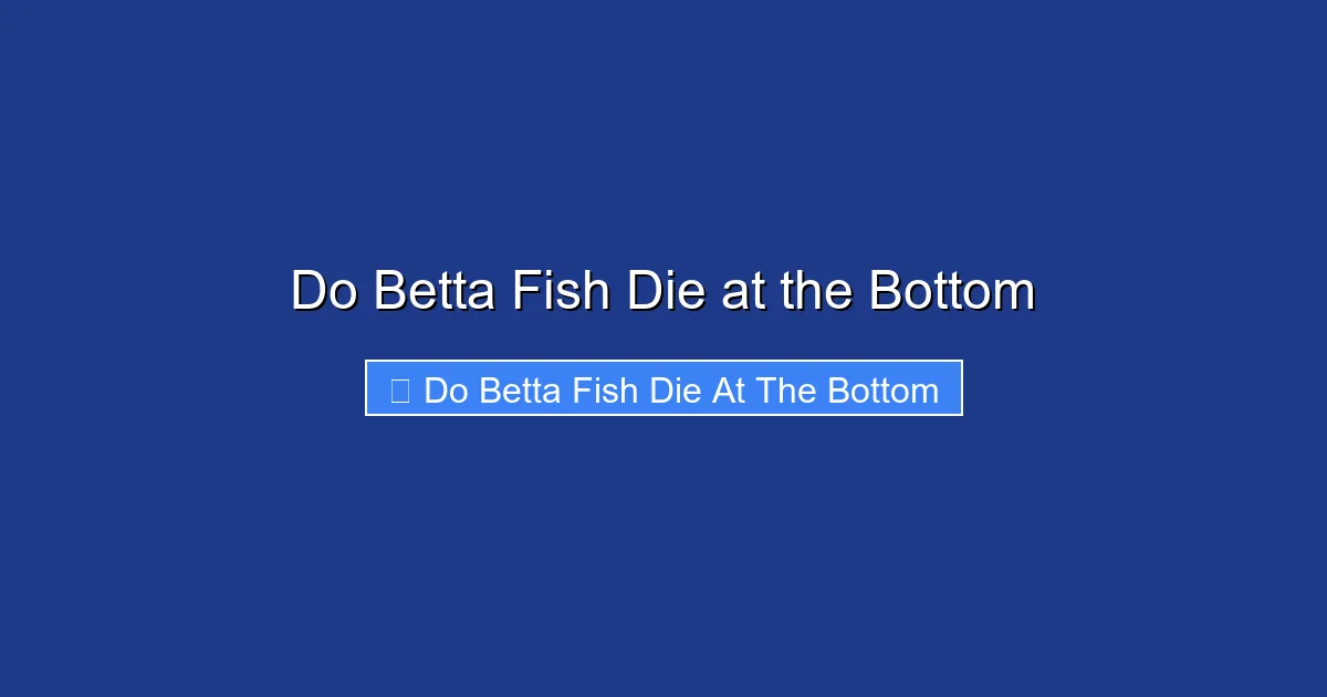 Do Betta Fish Die at the Bottom