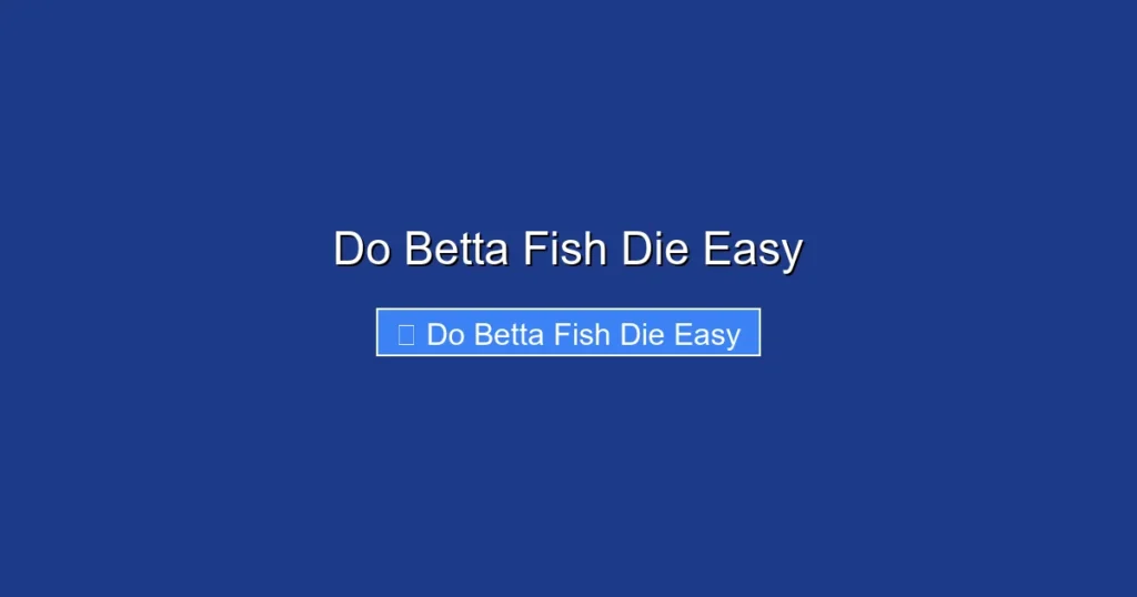 Do Betta Fish Die Easy
