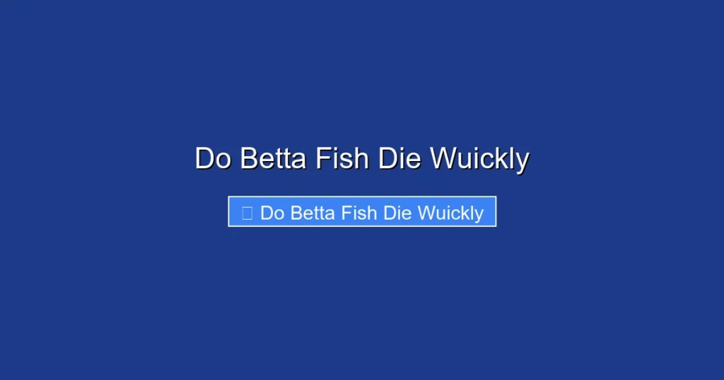 Do Betta Fish Die Wuickly
