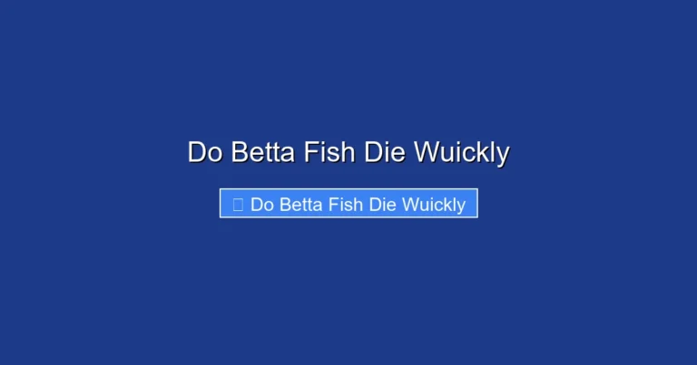 Do Betta Fish Die Wuickly