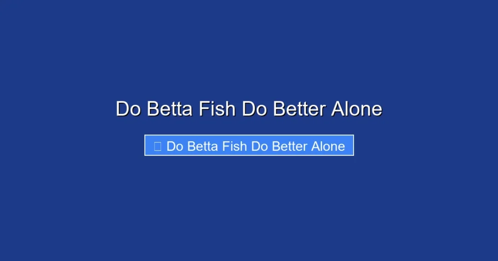 Do Betta Fish Do Better Alone