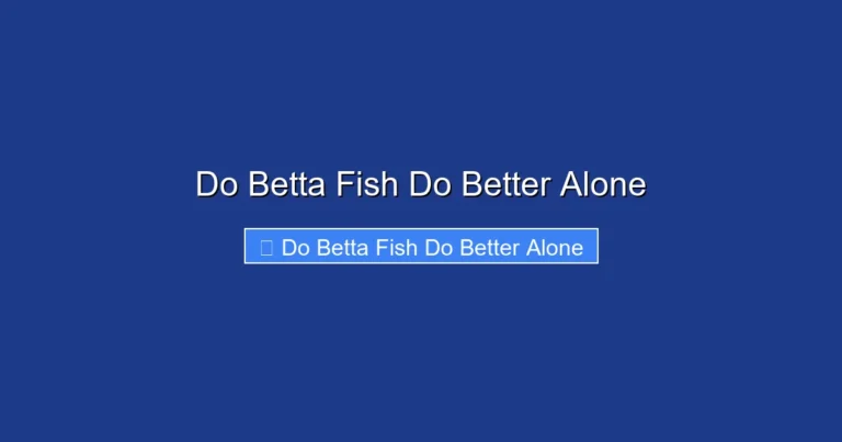 Do Betta Fish Do Better Alone
