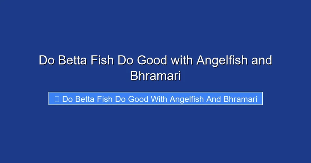 Do Betta Fish Do Good with Angelfish and Bhramari