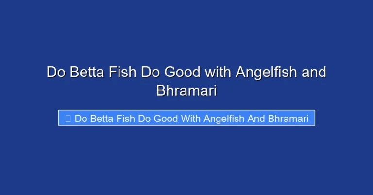 Do Betta Fish Do Good with Angelfish and Bhramari