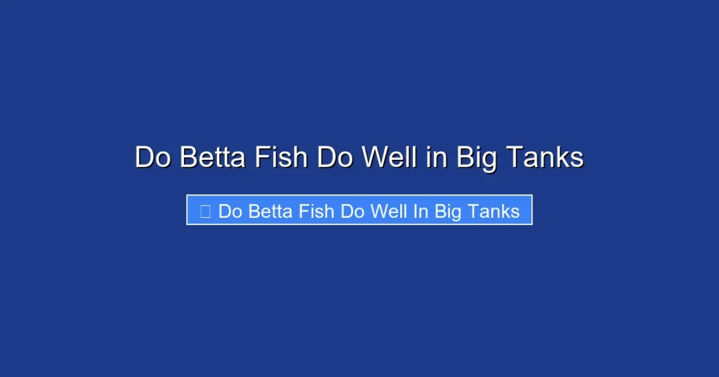 Do Betta Fish Do Well in Big Tanks