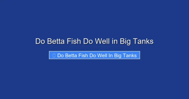 Do Betta Fish Do Well in Big Tanks