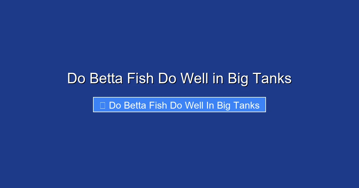 Do Betta Fish Do Well in Big Tanks