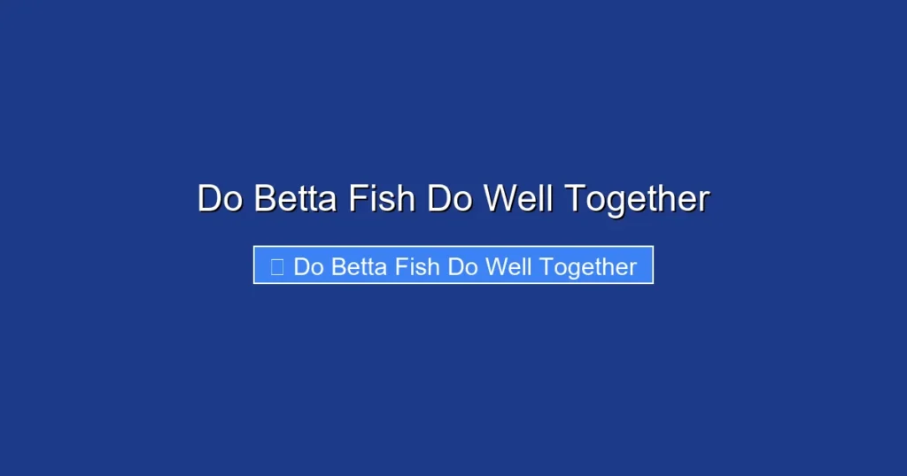 Do Betta Fish Do Well Together