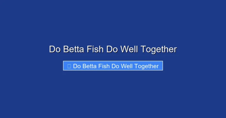 Do Betta Fish Do Well Together
