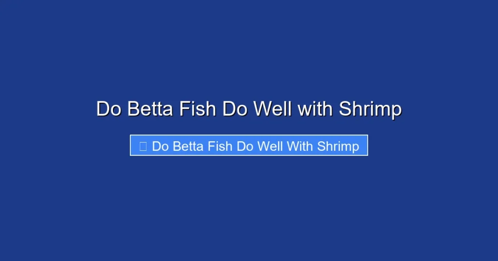 Do Betta Fish Do Well with Shrimp