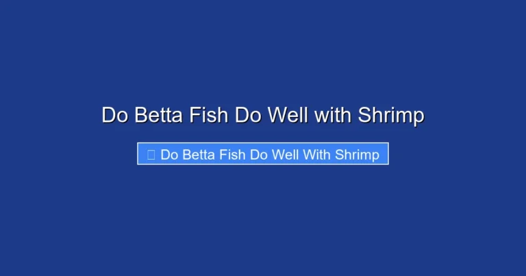 Do Betta Fish Do Well with Shrimp