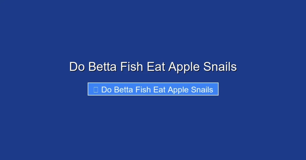 Do Betta Fish Eat Apple Snails