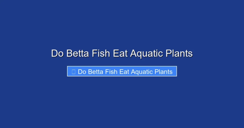 Do Betta Fish Eat Aquatic Plants