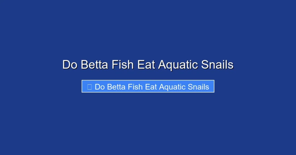 Do Betta Fish Eat Aquatic Snails