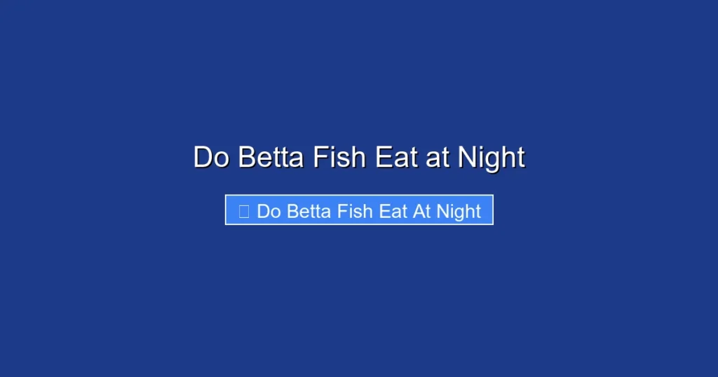 Do Betta Fish Eat at Night