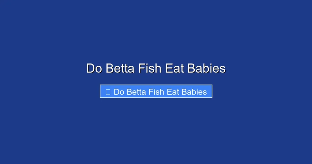 Do Betta Fish Eat Babies