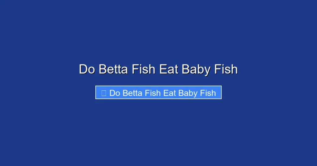 Do Betta Fish Eat Baby Fish
