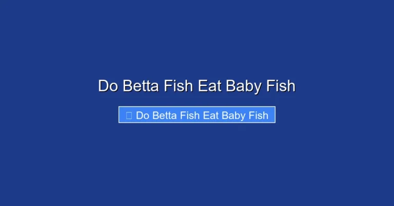 Do Betta Fish Eat Baby Fish