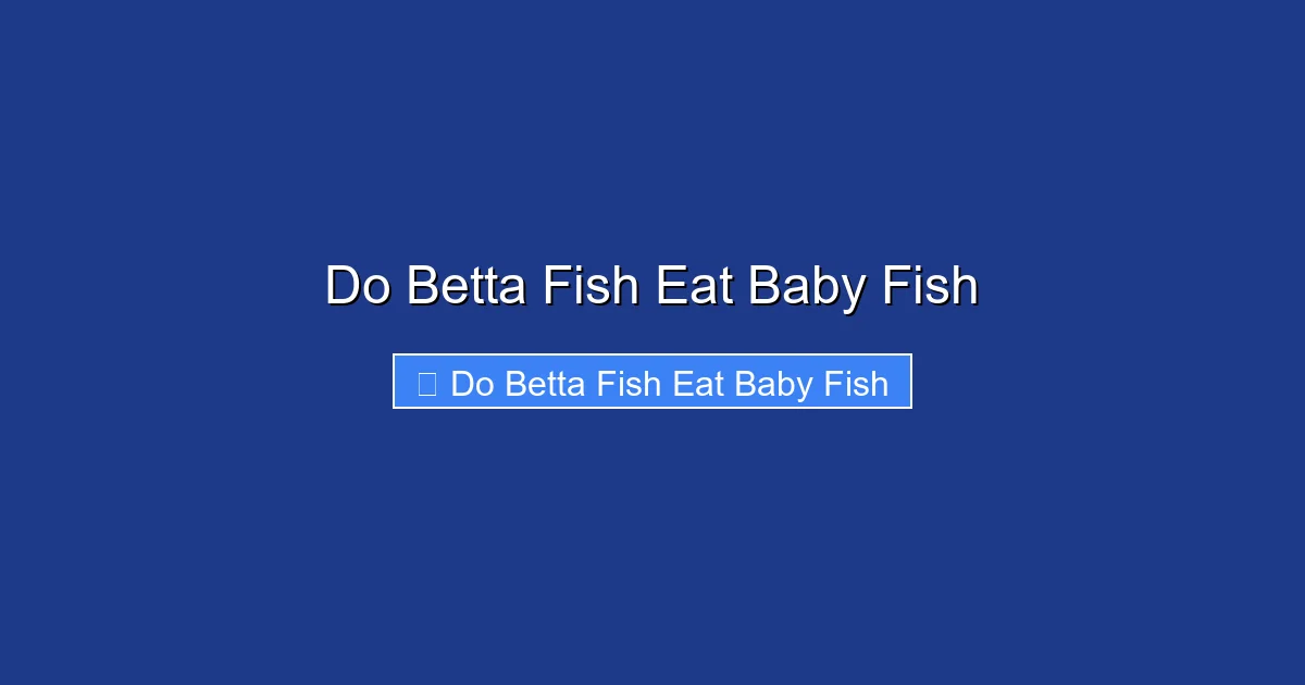 Do Betta Fish Eat Baby Fish