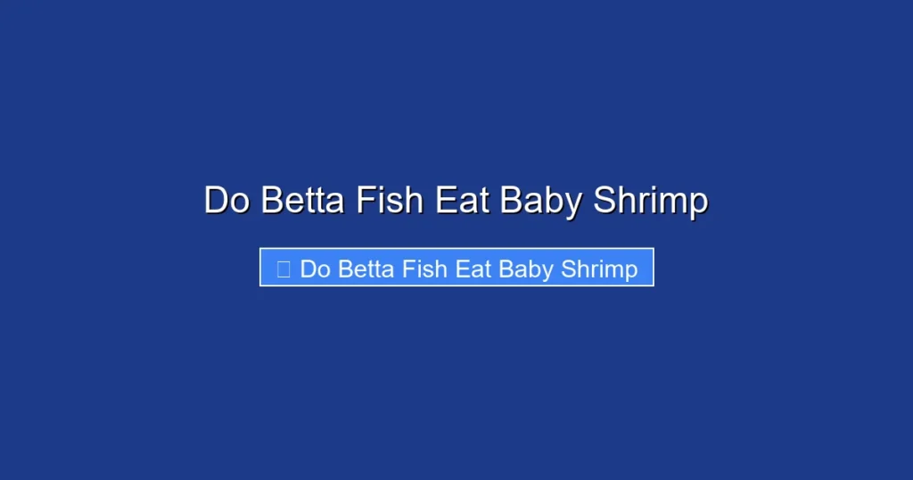 Do Betta Fish Eat Baby Shrimp