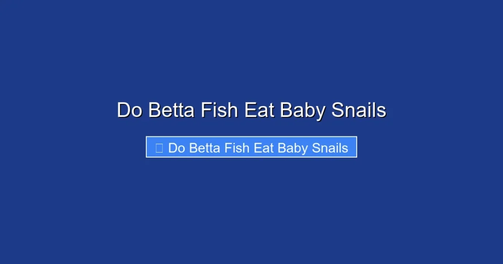 Do Betta Fish Eat Baby Snails