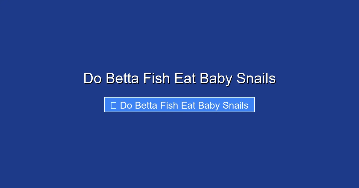 Do Betta Fish Eat Baby Snails