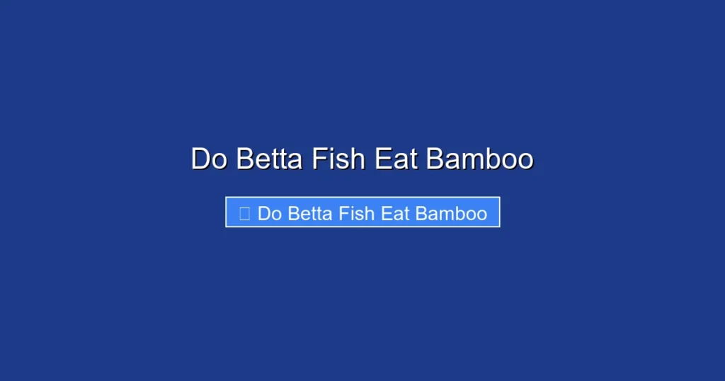 Do Betta Fish Eat Bamboo
